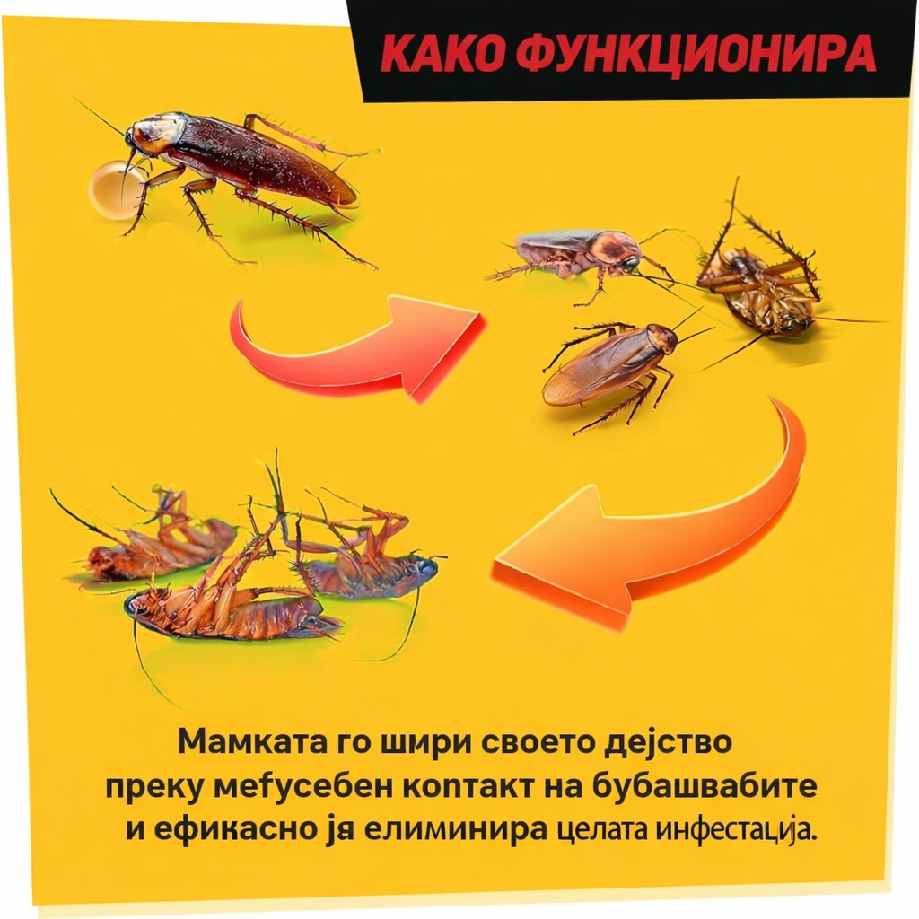 Roach Expert™ - Моќно гел решение против бубашваби (1+1)
